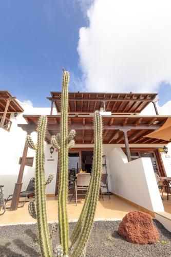 img_1189_fileminimizer