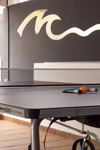 pingpong